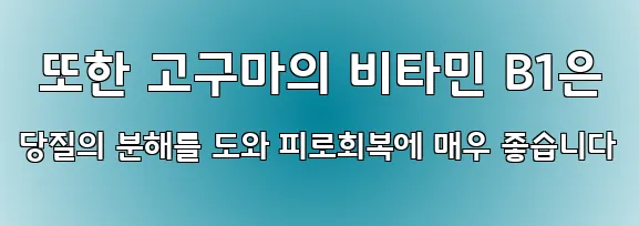  또한 고구마의 비타민 B1은 당질의 분해를 도와 피로회복에 매우 좋습니다