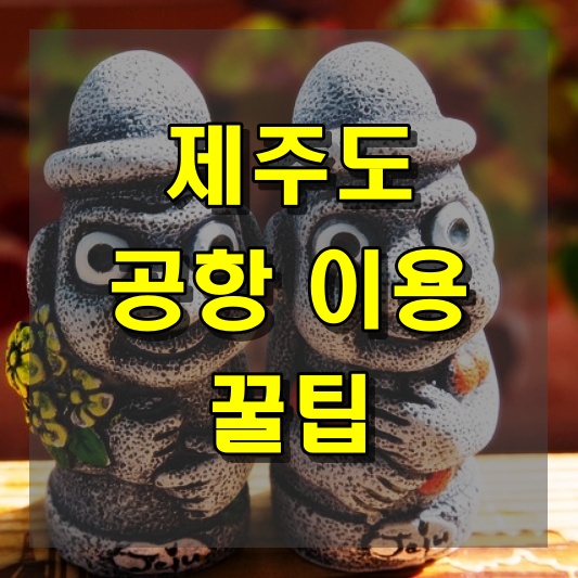 제주도 공항 이용 팁