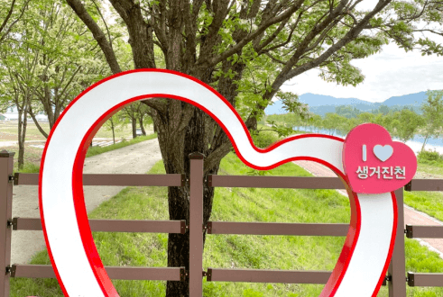 진천 이팝나무길 하트