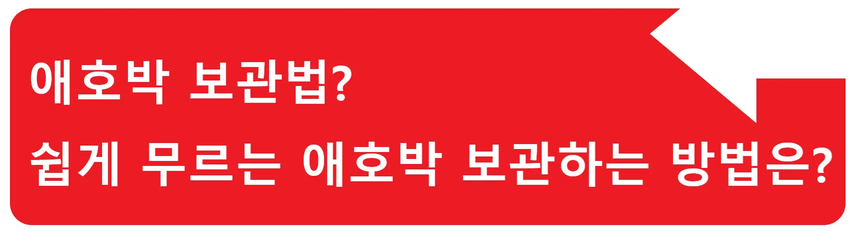 구운계란 유통기한? 구운계란은 어떻게 보관해야 오래 먹을까?