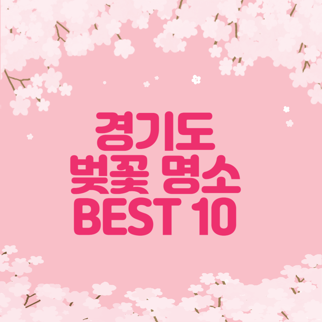 경기도 벚꽃 명소 베스트10 가볼만한곳 꿀팁 총정리