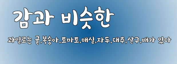  감과 비슷한 과일로는 귤,복숭아,토마토,매실,자두,대추,살구,배가 있다