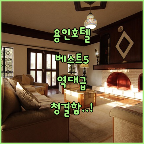 용인 호텔 추천 베스트 5 청결도 높..