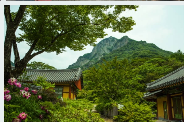 한국의 숨겨진 비밀 정원 5곳