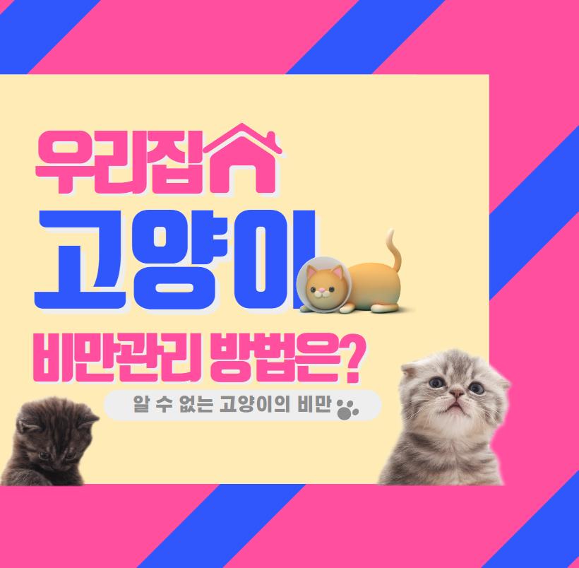 고양이 비만관리