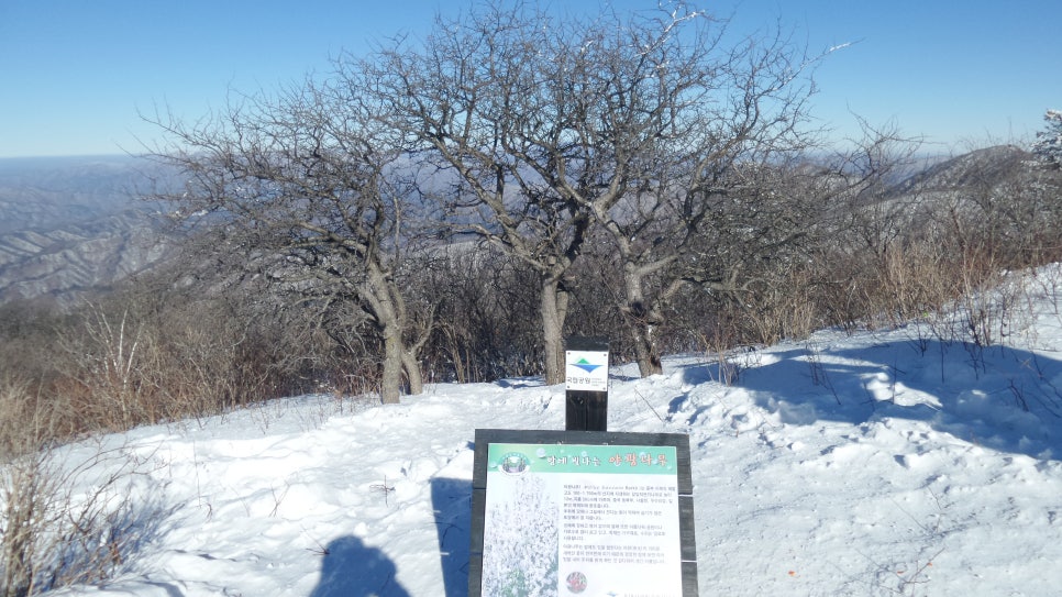 100대 명산 등산하기 평창 계방산(桂芳山, 1,577m) 설악·오대산과 함께 강원도 고산지대의 대표 명산