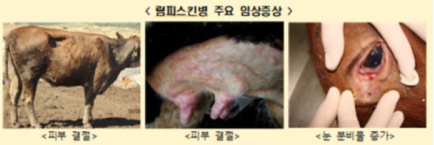 럼피스킨병 관련주