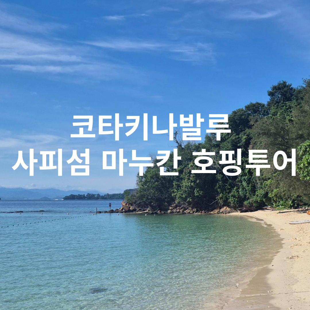 코타키나발루 사피섬 마누칸 호핑투어
