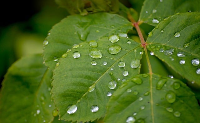 3월 첫째주 평일 주말 날씨 예보