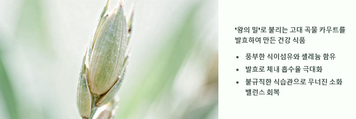 카무트 효소 효능