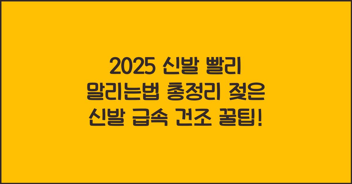 "젖은 신발을 빠르게 건조하는 다양한 방법과 도구를 안내하는 대표 이미지"