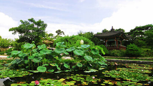 고양국제꽃박람회