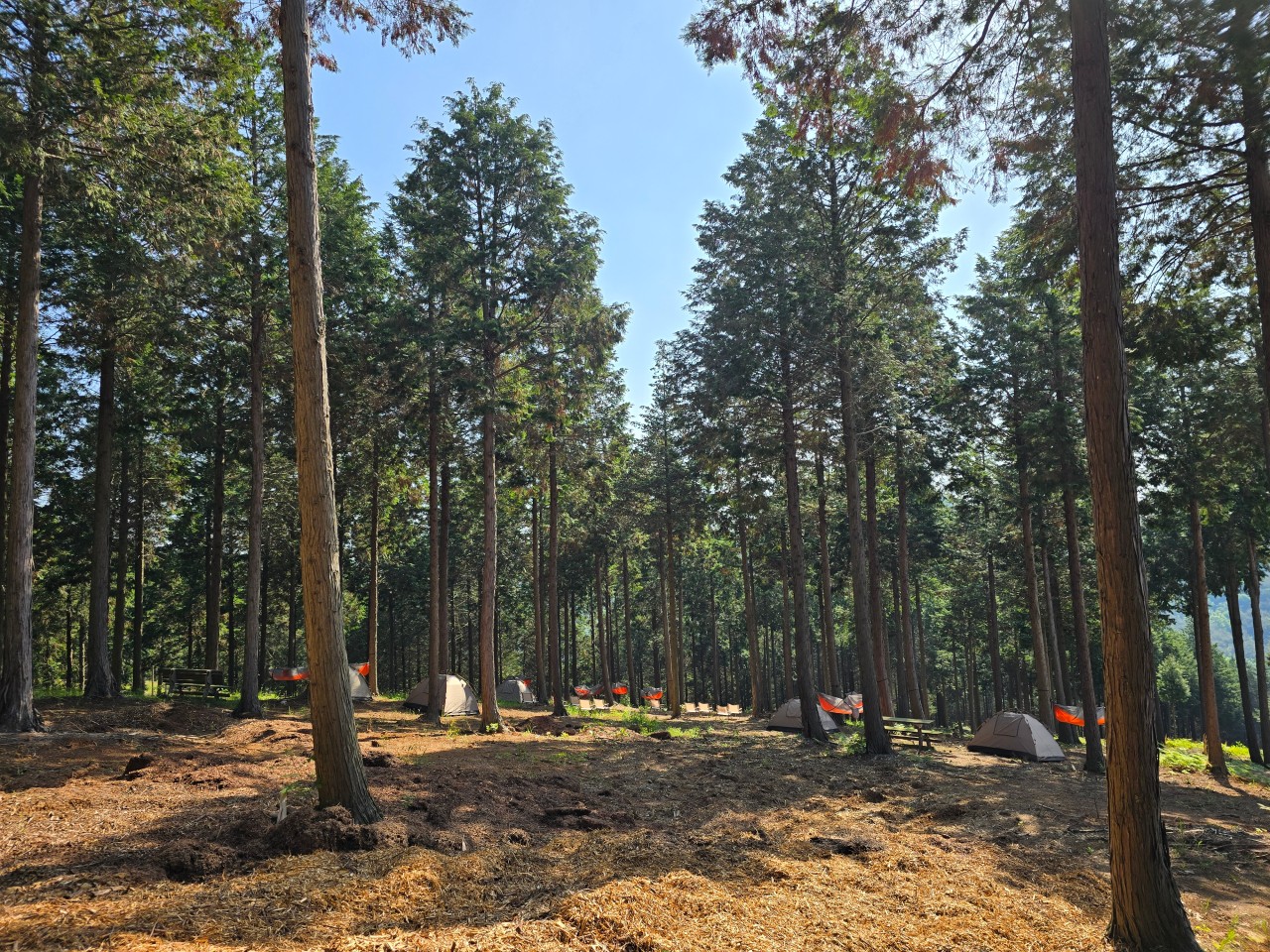 사천 가볼만한곳 베스트 10