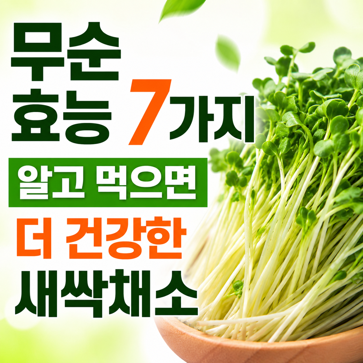 무순 효능