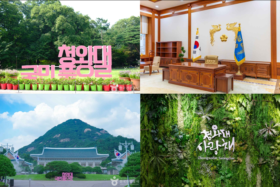 청와대 관람 신청