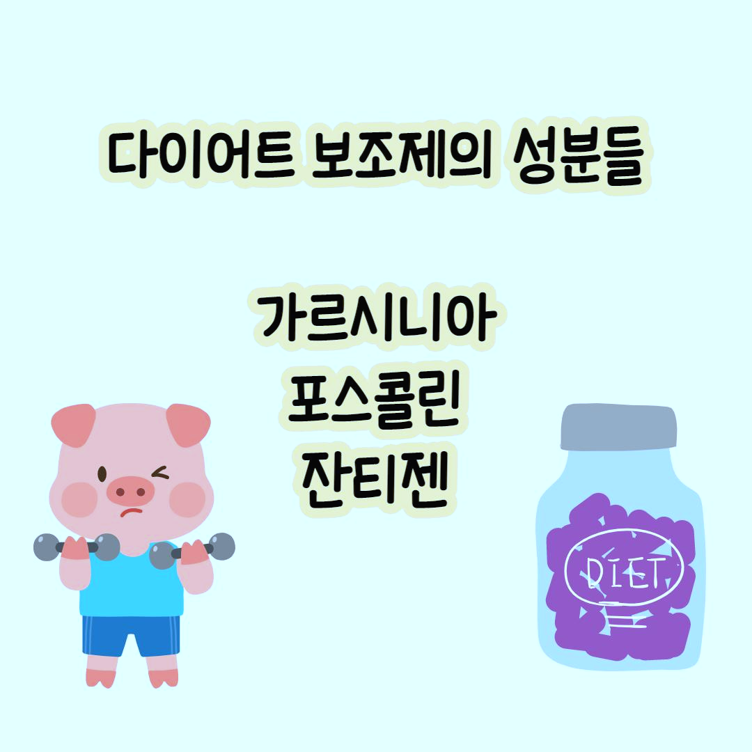 다이어트 보조제 성분들 : 가르시니아, 포스콜린, 잔티젠