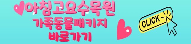 강원도 춘천 가볼만한 곳