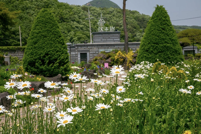 벽초지수목원 이미지