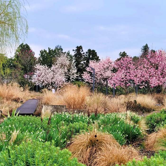생방송 오늘 저녁 제주 쇠소깍 차콩 크림 라떼 맛집