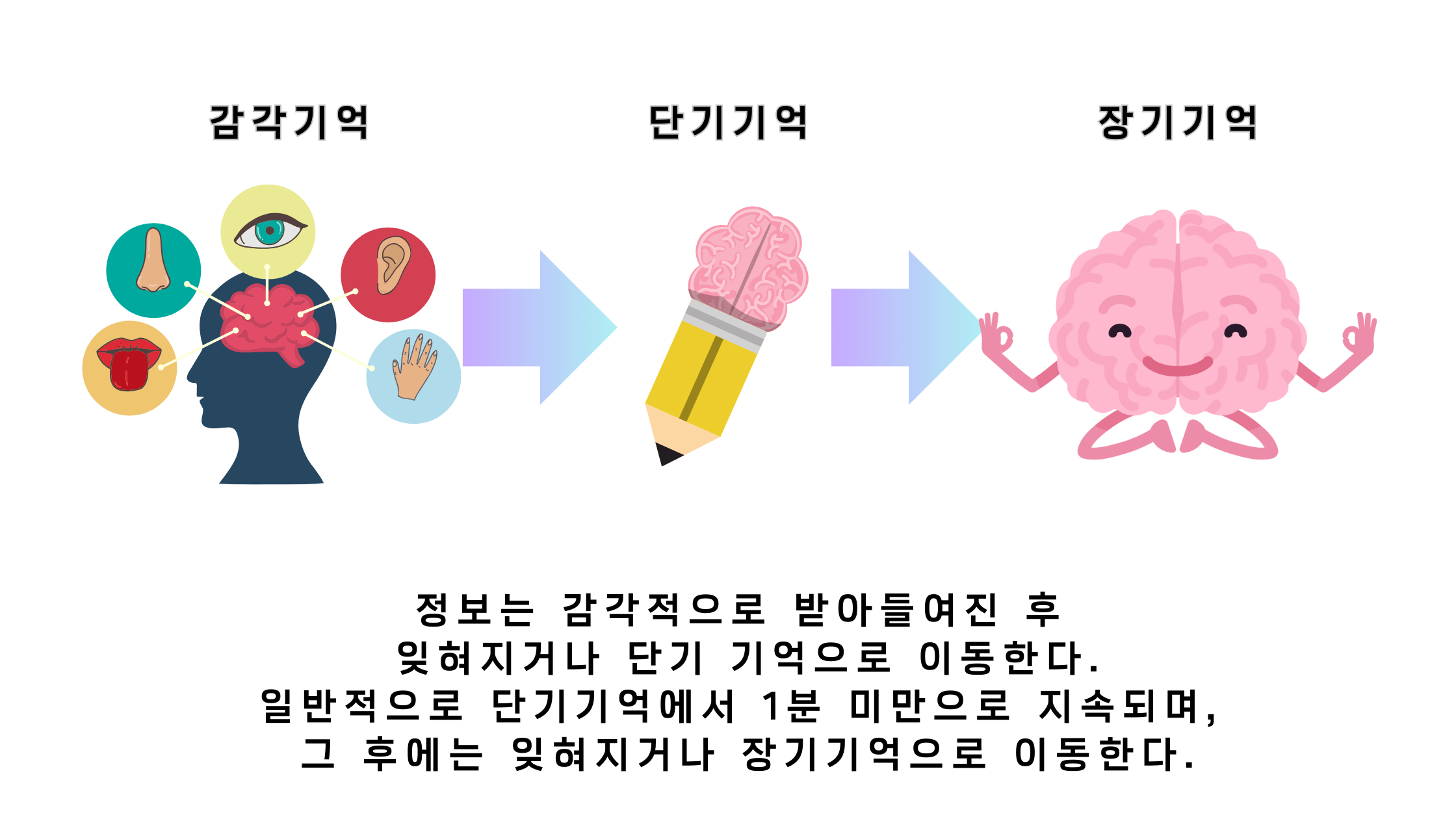 기억이 저장되는 단계