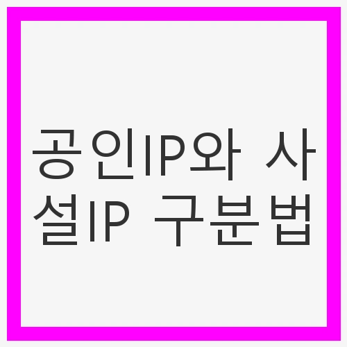 공인IP의 특징