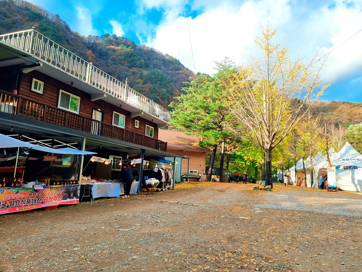 강원도 홍천 은행나무숲 방문 후기(10.23.): 단풍 확인 팁, 먹거리, 숙박