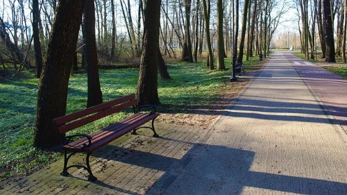 갱년기 우울증, 혹시 나도? 정신과 의사가 알려주는 자가 진단 &amp; 극복법