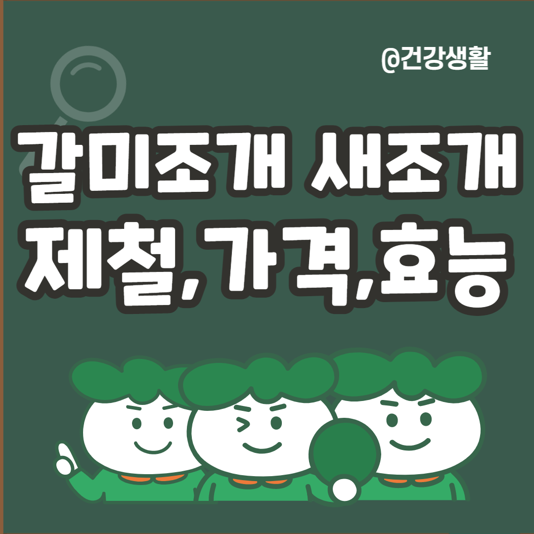 갈미조개 새조개