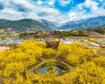 구례 산수유축제_33