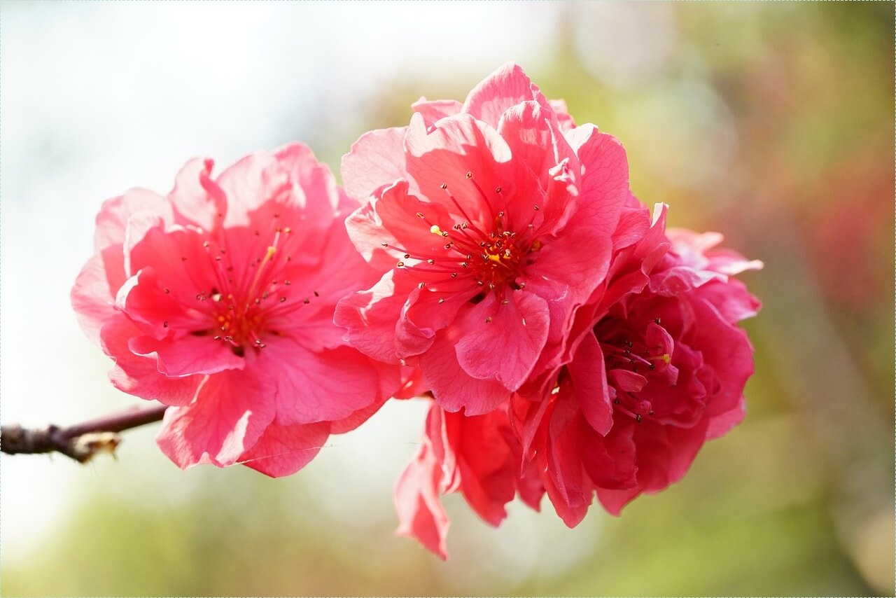 우리은행 정기예금 금리