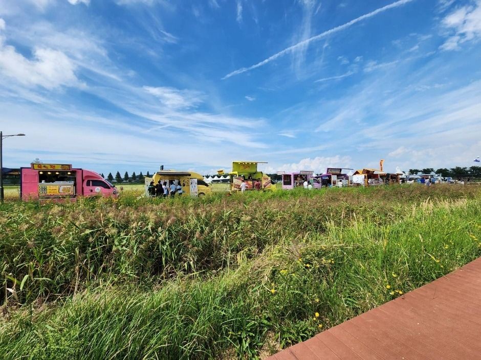 안산 대부포도축제