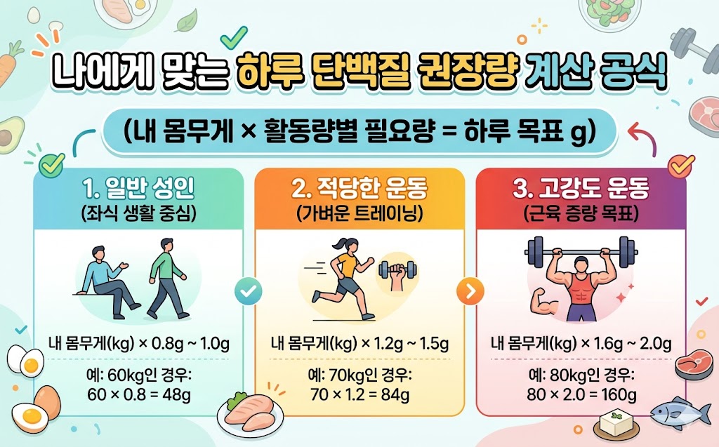 단백질 하루 권장량 계산 공식 인포그래픽
