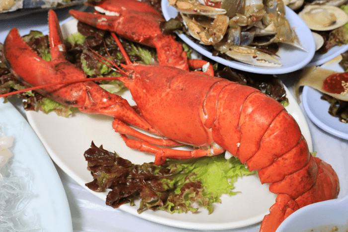 생생정보 음식 X-파일 인천 연안부두 60첩 해산물 맛집 내고향강원도 생생정보 2295회