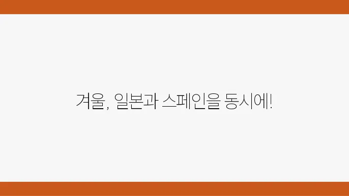 11월 겨울: 일본과 스페인을 동시에 즐기다