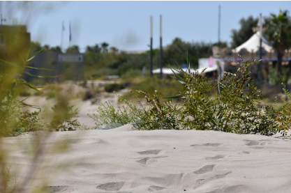 [태안 학암포 공룡 발자국 해변] 1억 년 전 백악기 시간 여행