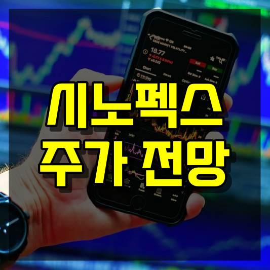 시노펙스 주가 전망