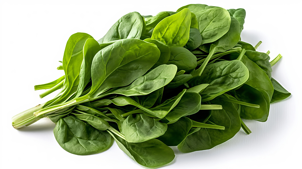 골다공증에 좋은 음식