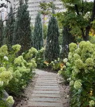 생방송투데이 치즈 폭포 스테이크 별내 맛집 스테이 564