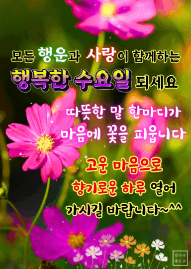 9월 수요일 아침인사말 이미지,코스모스 꽃 배경에 행복한 인사말, 카톡 공유용