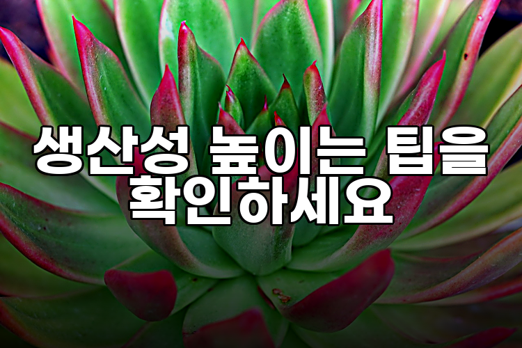 생산성 높이는 팁을 확인하세요