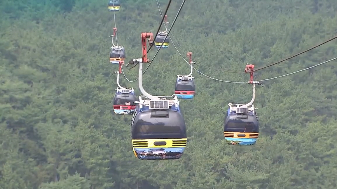 경남 통영 미륵산을 오르는 다채로운 색상의 케이블카들. 울창한 숲 위로 부드럽게 이동하는 케이블카가 줄지어 떠 있다.
