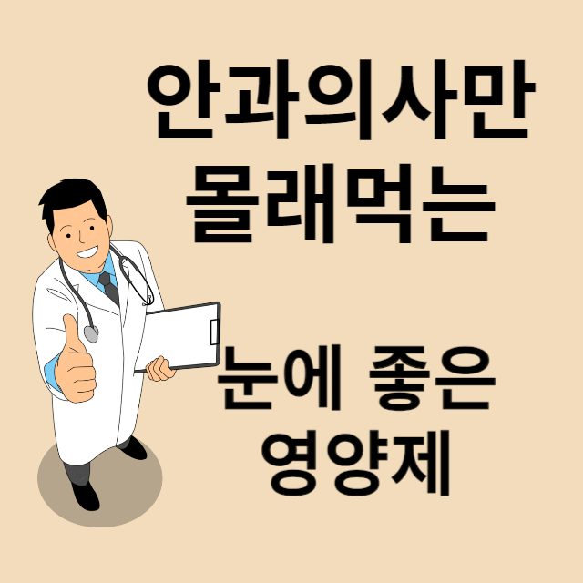 눈영양제 추천