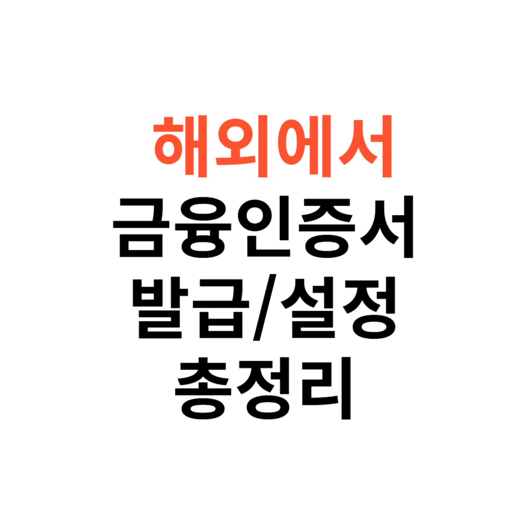 해외에서 금융인증서