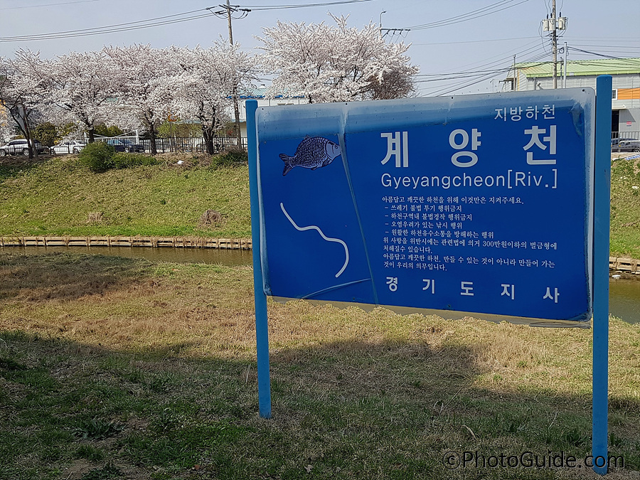 계양천