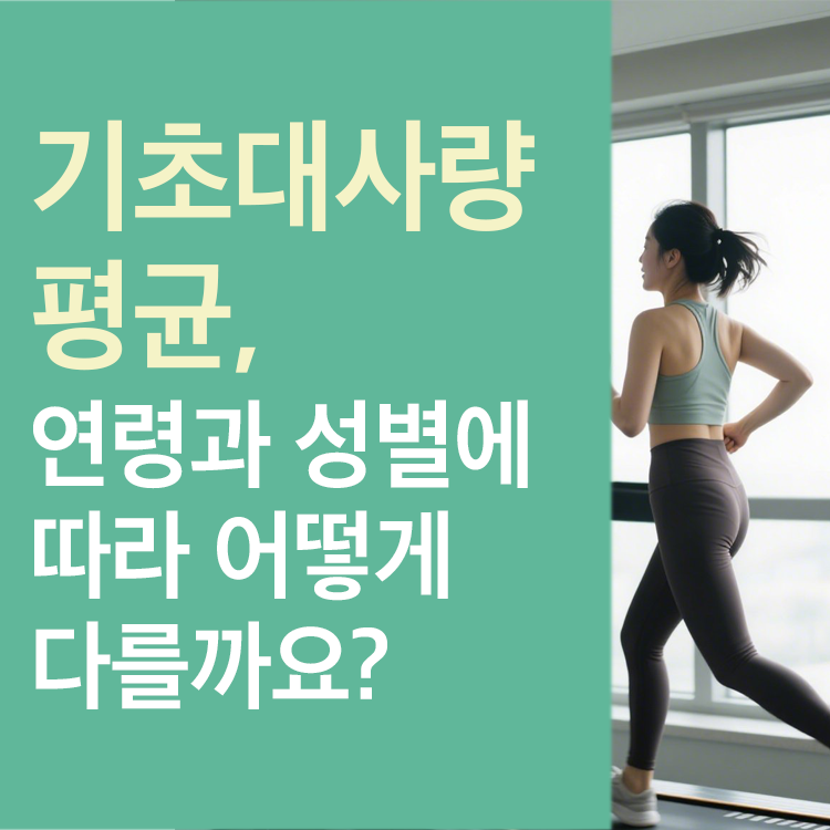 기초대사량 평균
