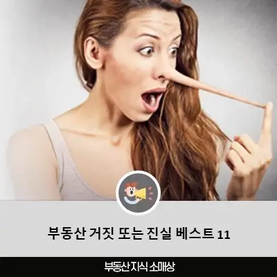 부동산 거짓 또는 진실 베스트 11