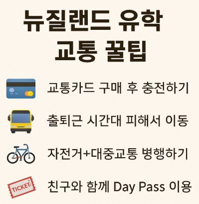 뉴질랜드로 유학시 교통 꿀팁 사진