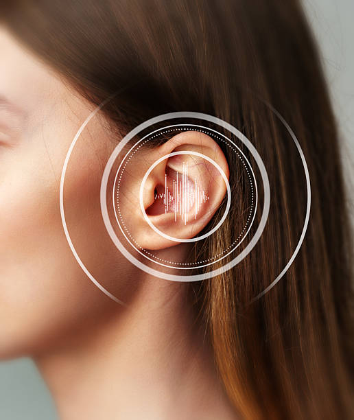 귀 건강 관리법