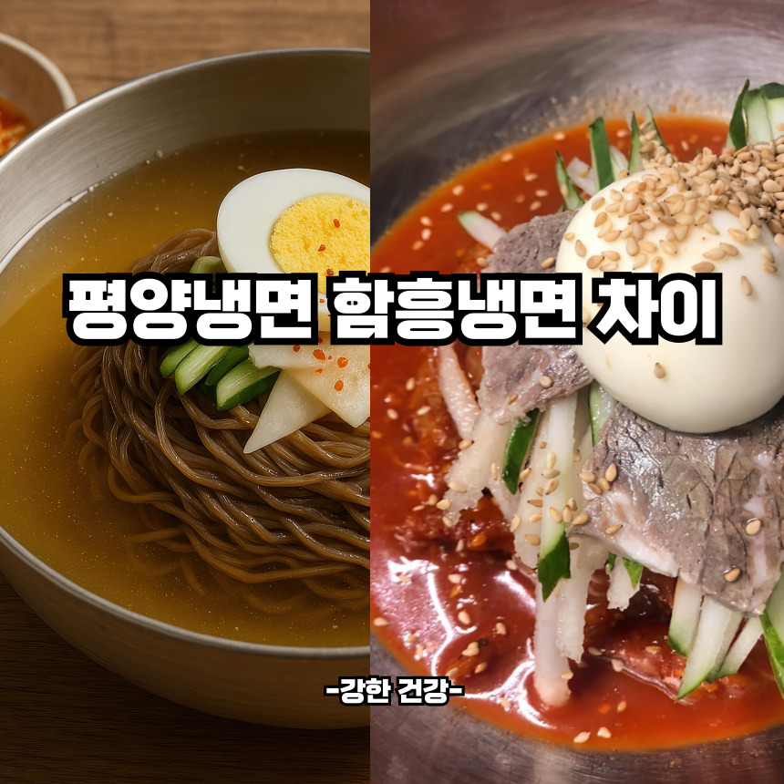 평양냉면 함흥냉면 차이