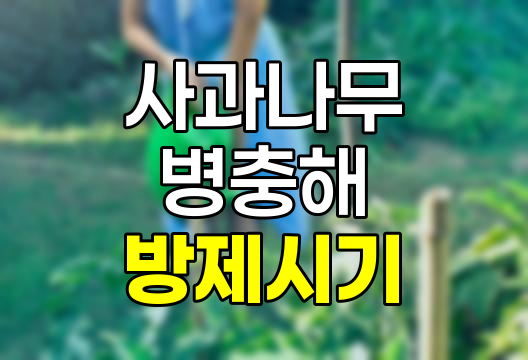 사과나무 병충해 방제 시기 및 방법 상세 가이드 관련 정보